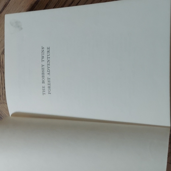 The Bobbsey Twins' Forest Adventure - Picture 5 of 12